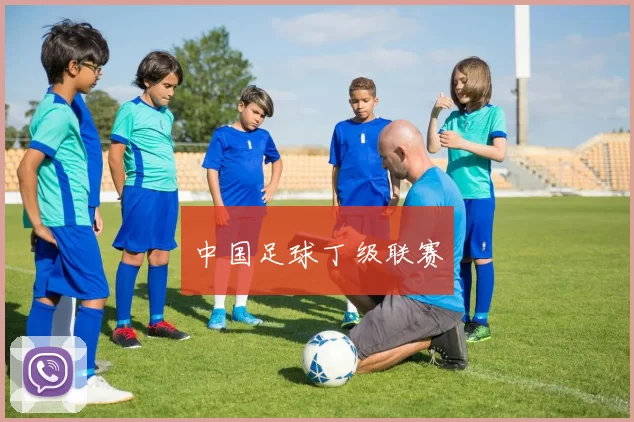 中国足球丁级联赛