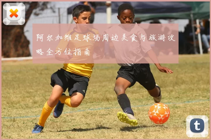 阿尔加维足球场周边美食与旅游攻略全方位指南
