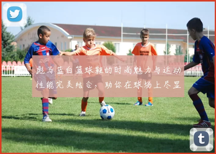 彪马蓝白篮球鞋的时尚魅力与运动性能完美结合，助你在球场上尽显风采