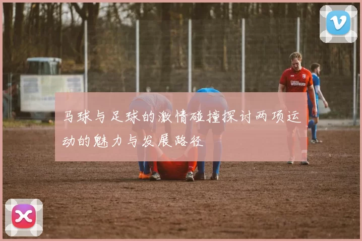 马球与足球的激情碰撞探讨两项运动的魅力与发展路径