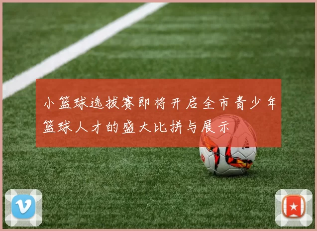 小篮球选拔赛即将开启全市青少年篮球人才的盛大比拼与展示