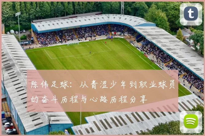 陈伟足球：从青涩少年到职业球员的奋斗历程与心路历程分享
