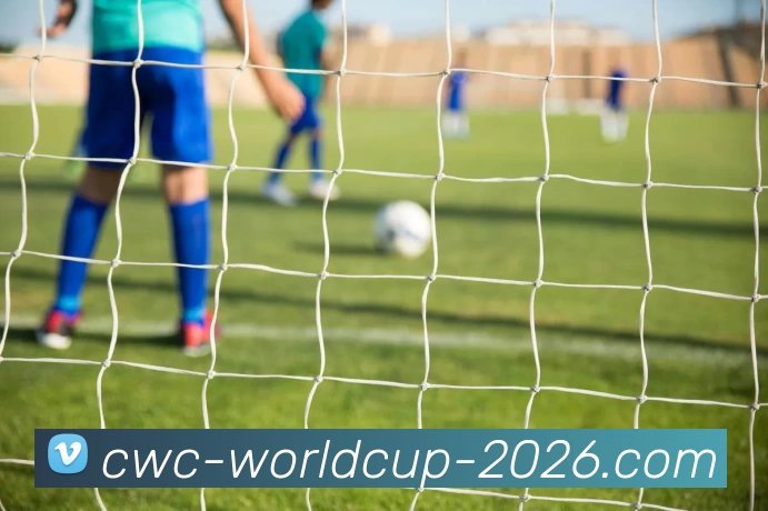 买球中国网站服务体系