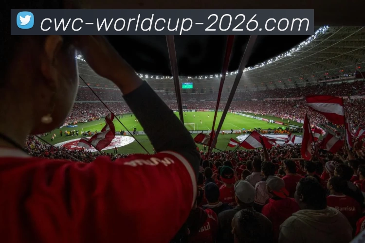 多媒体互动体验