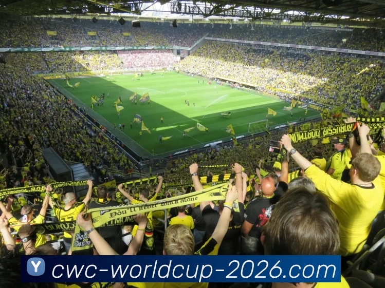 买球中国网站APP 体育赛事宣传图